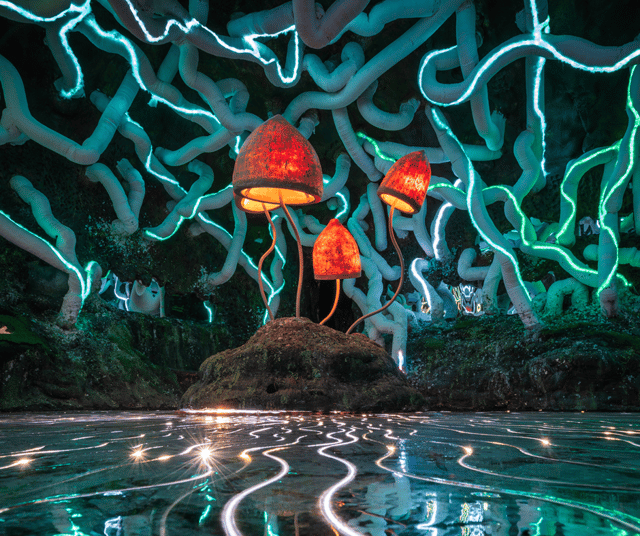 Wake-The-Tiger-featured